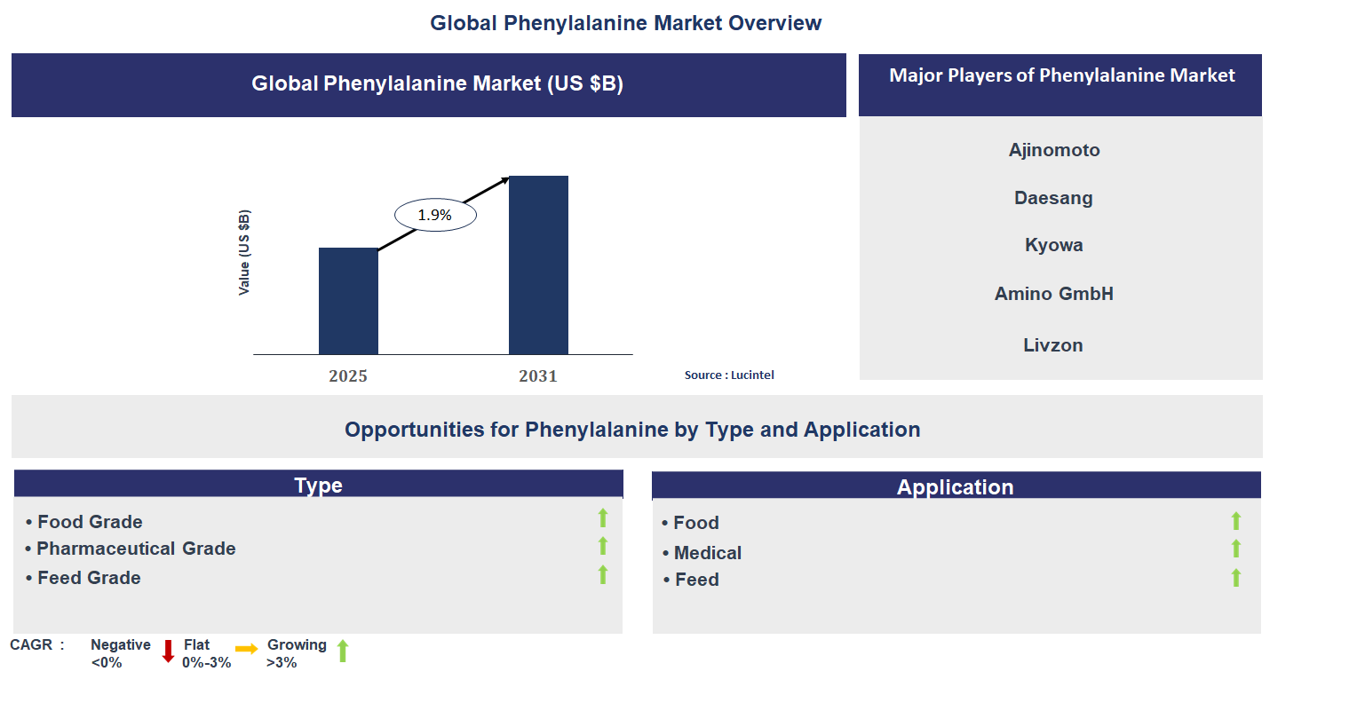 Phenylalanine Market Trends and Forecast
