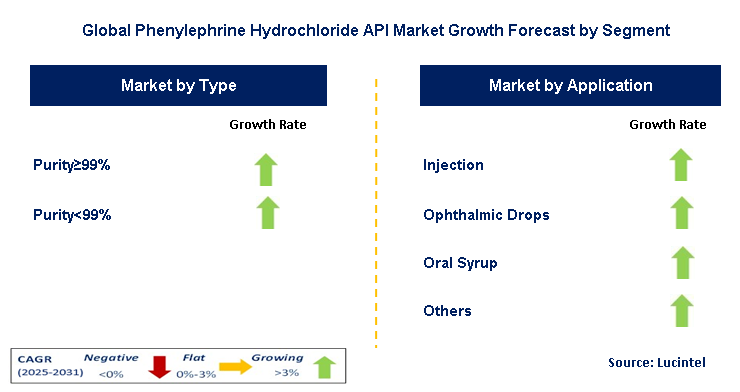 Phenylephrine Hydrochloride API Market by Segment