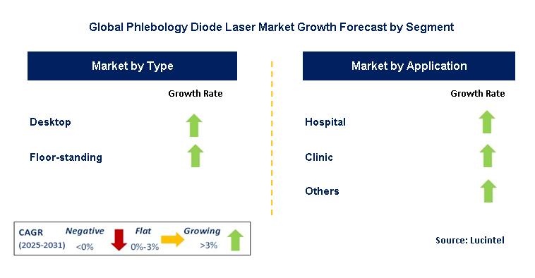 Phlebology Diode Laser Market by Segment