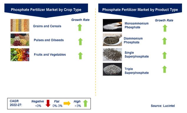Phosphate Fertilizer Market by Segments