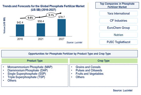 Phosphate Fertilizer Market by Product Type, and Crop Type
