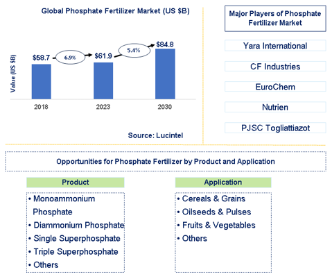 Phosphate Fertilizer Market