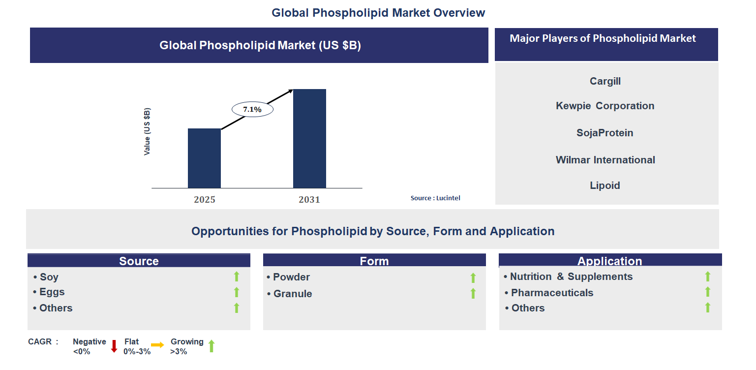 Phospholipid Market Trends and Forecast