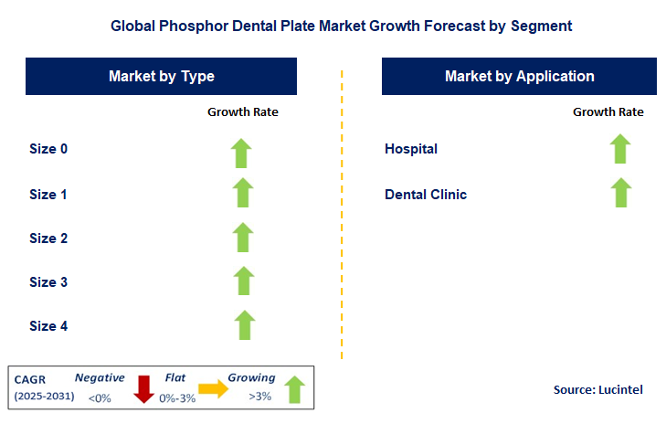 Phosphor Dental Plate Market by Segment