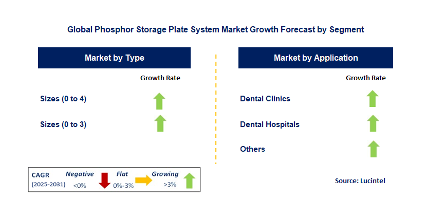 Phosphor Storage Plate System Market by Segment