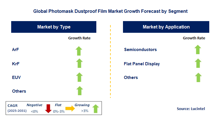 Photomask Dustproof Film Market by Segment