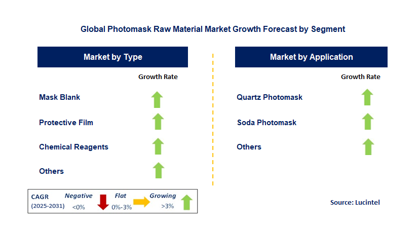 Photomask Raw Material Market by Segment