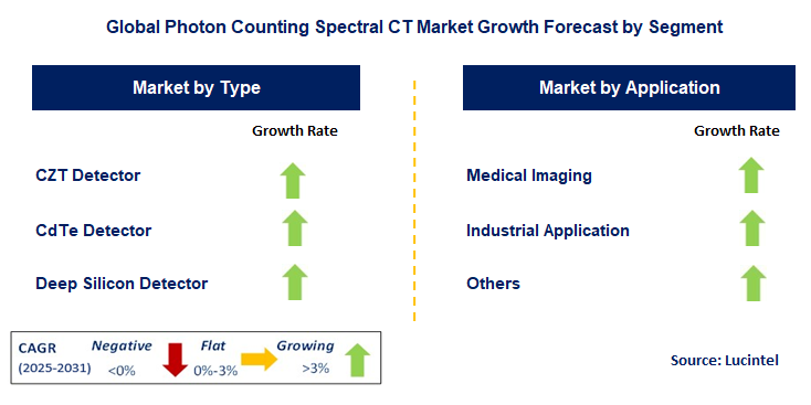 Photon Counting Spectral CT Market by Segment