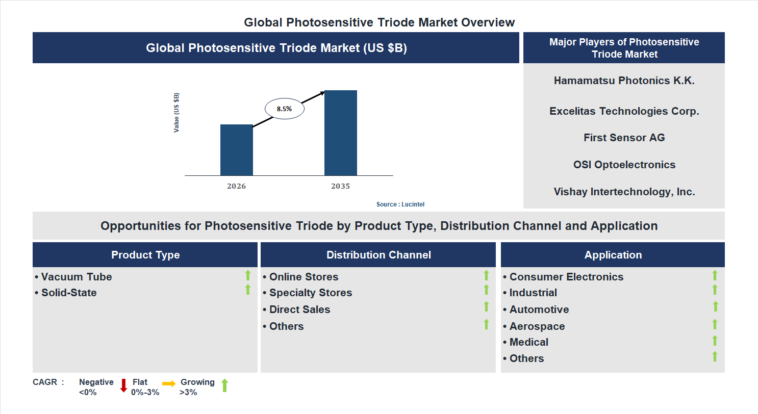 Photosensitive Triode Market Trends and Forecast