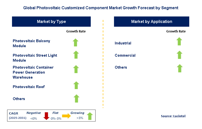 Photovoltaic Customized Component Market by Segment