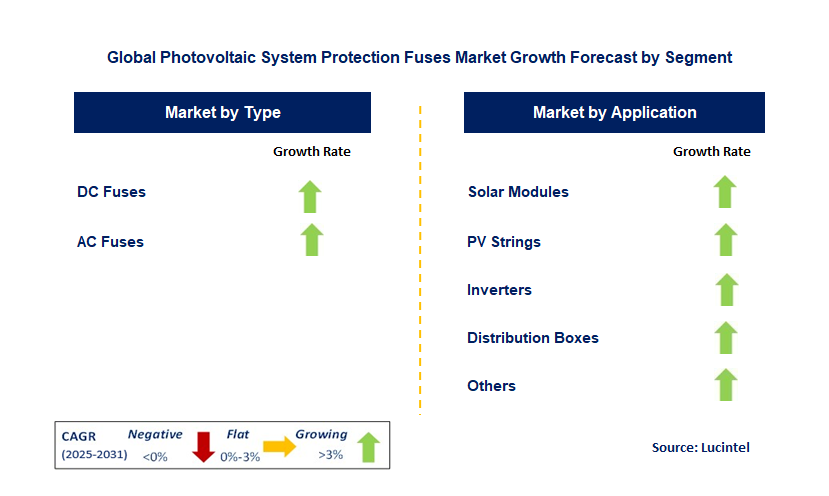 Photovoltaic System Protection Fuses Market by Segment