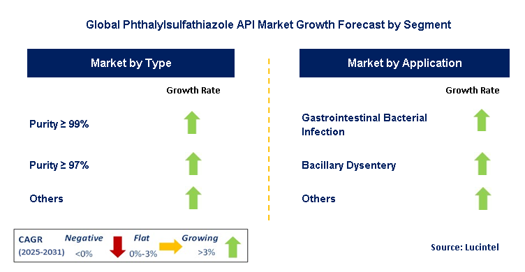Phthalylsulfathiazole API Market by Segment