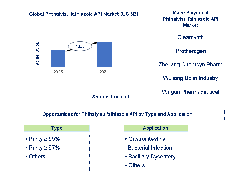Phthalylsulfathiazole API Market Trends and Forecast