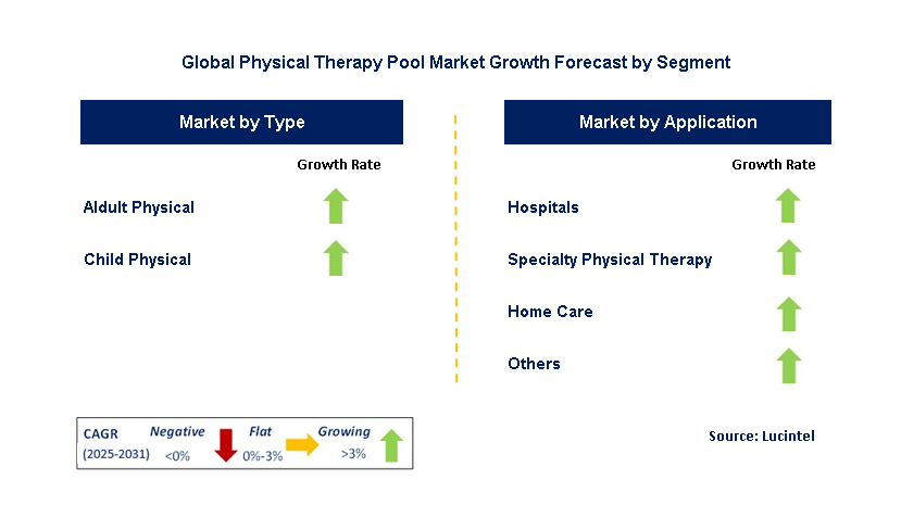 Physical Therapy Pool Market by Segment
