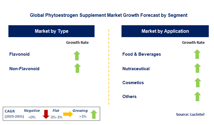 Phytoestrogen Supplement Market by Segment