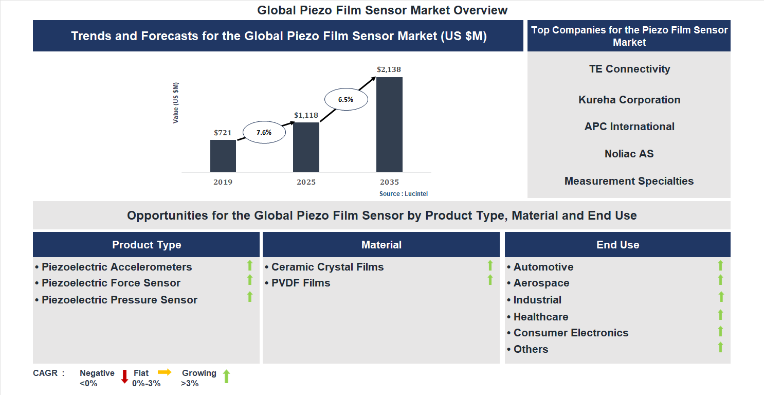 Piezo Film Sensor Market Trends and Forecast