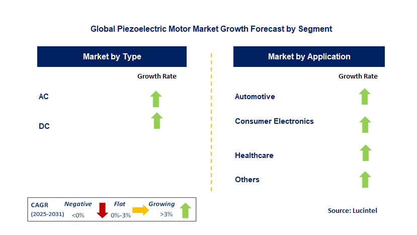 Piezoelectric Motor Market by Segment