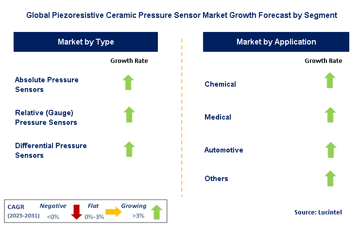 Piezoresistive Ceramic Pressure Sensor Market by Segment