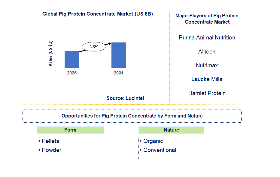 Pig Protein Concentrate Market Trends and Forecast