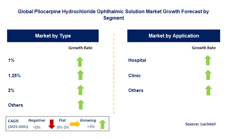 Pilocarpine Hydrochloride Ophthalmic Solution Market by Segment