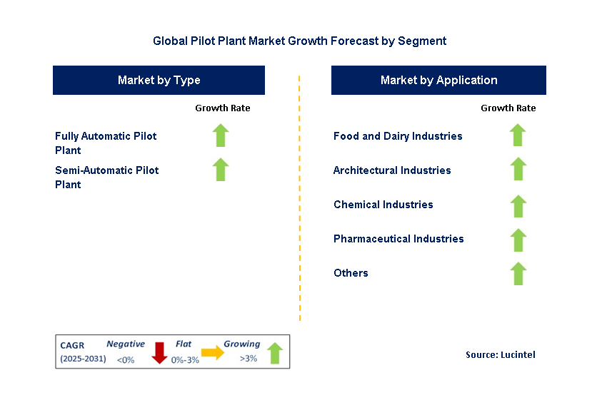 Pilot Plant Market by Segment