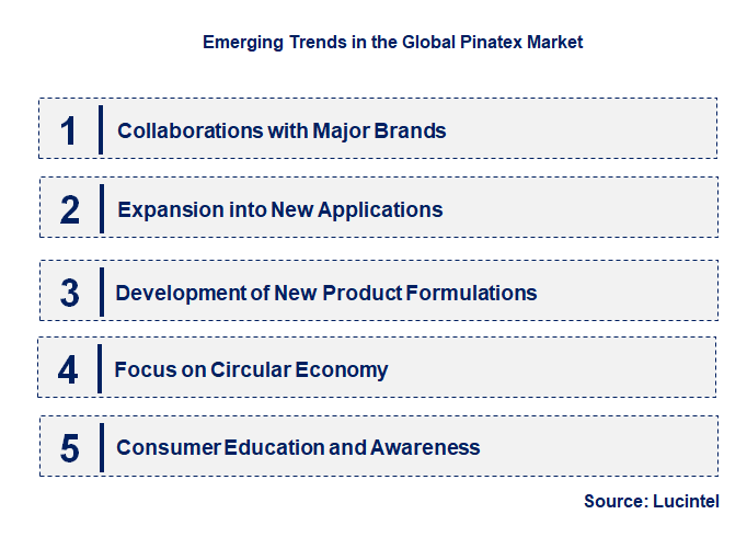 Emerging Trends in the Pinatex Market