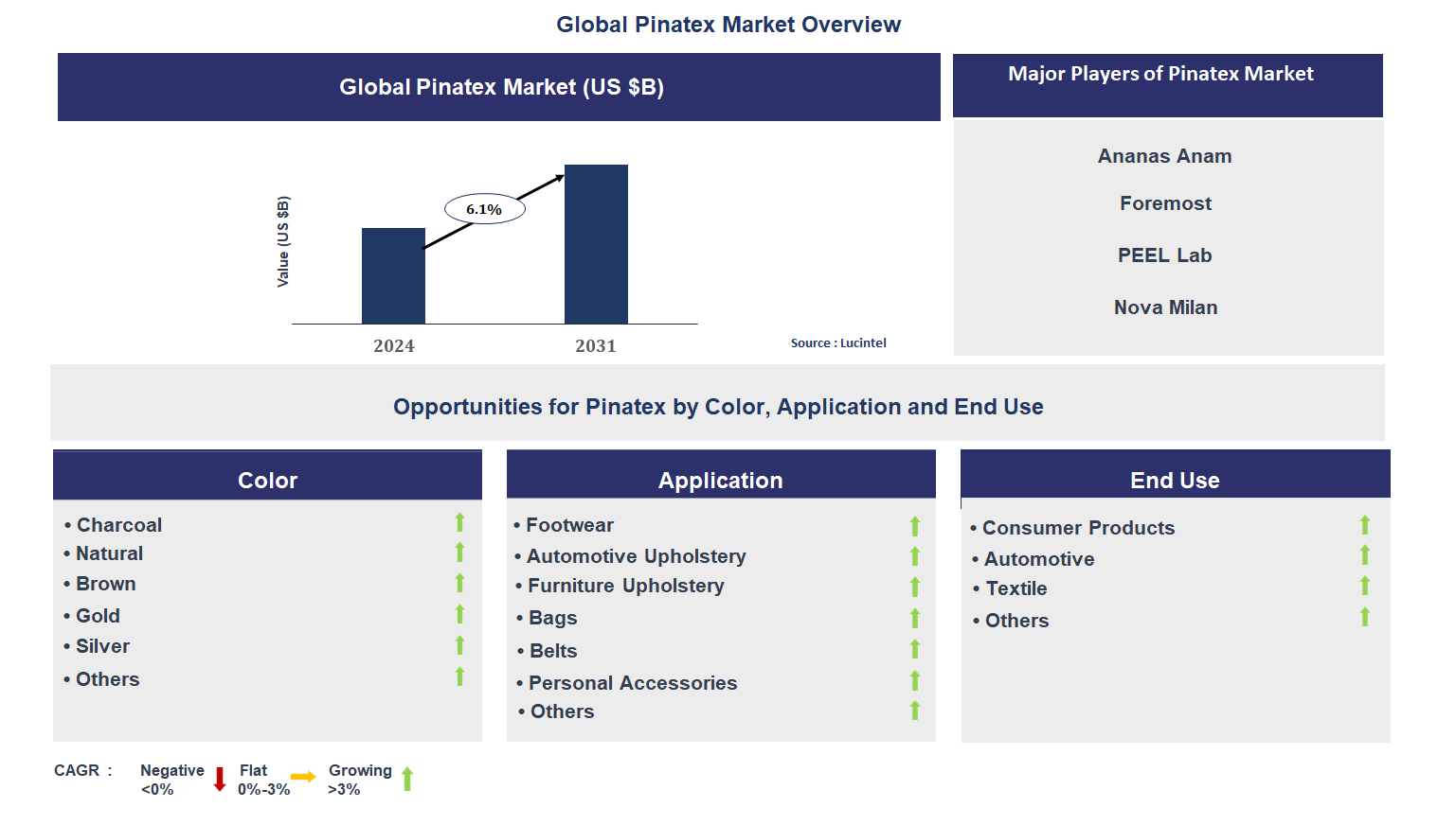 Pinatex Market Trends and Forecast