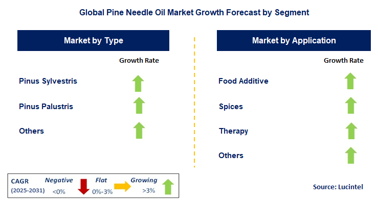 Pine Needle Oil Market by Segment