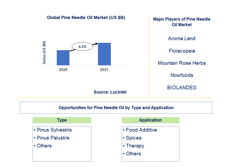 Pine Needle Oil Market Trends and Forecast
