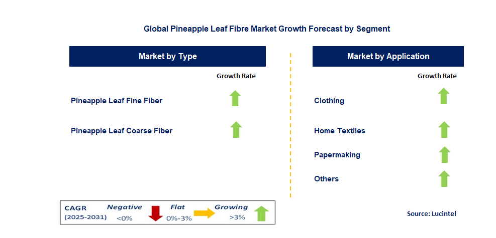 Pineapple Leaf Fibre Market by Segment