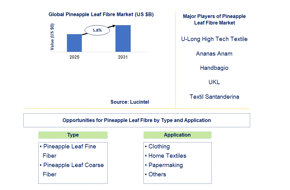 Pineapple Leaf Fibre Market Trends and Forecast