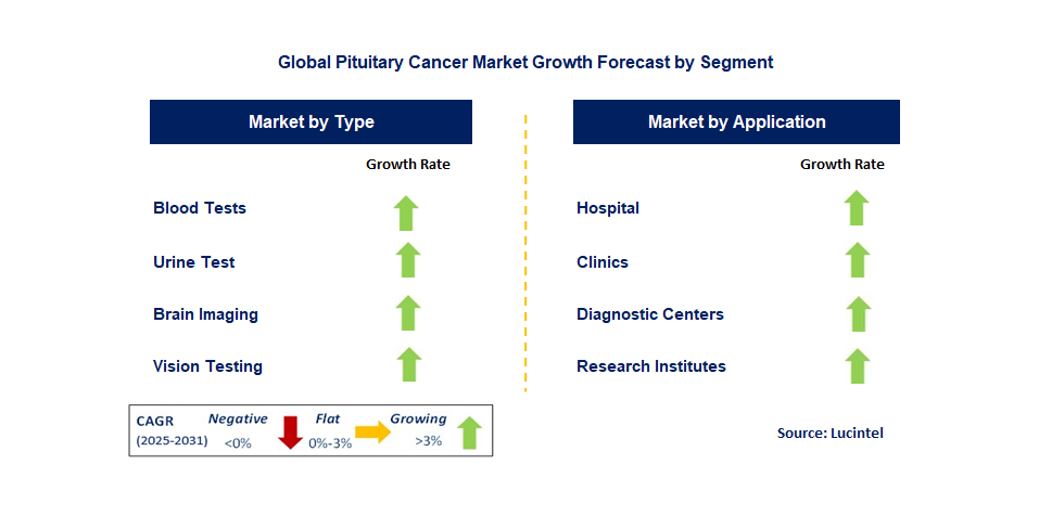 Pituitary Cancer Market by Segment
