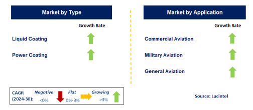 Plane Coating Market by Segment