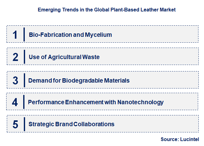 Emerging Trends in the Plant-Based Leather Market