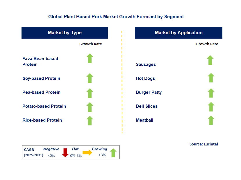 Plant Based Pork Market by Segment