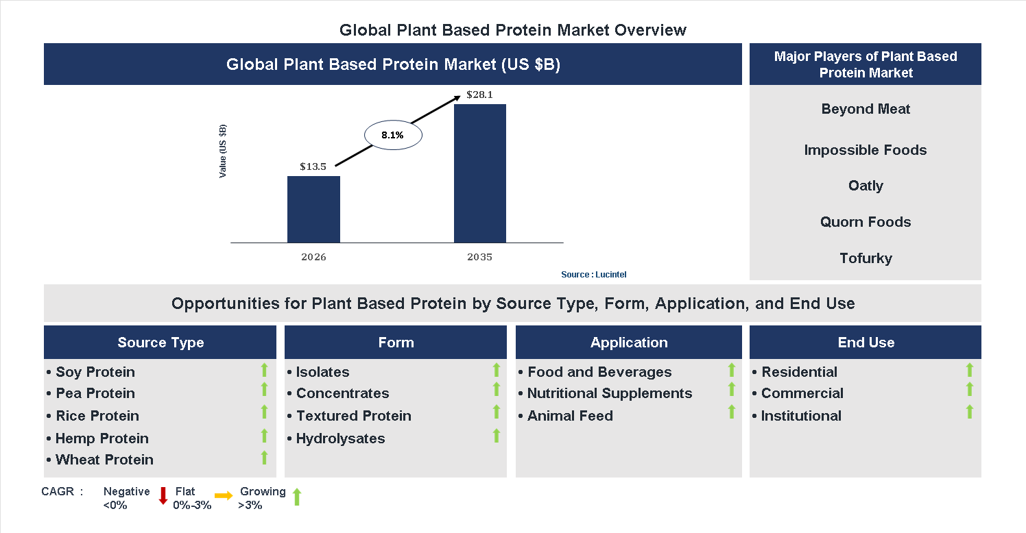 Plant Based Protein Market Trends and Forecast