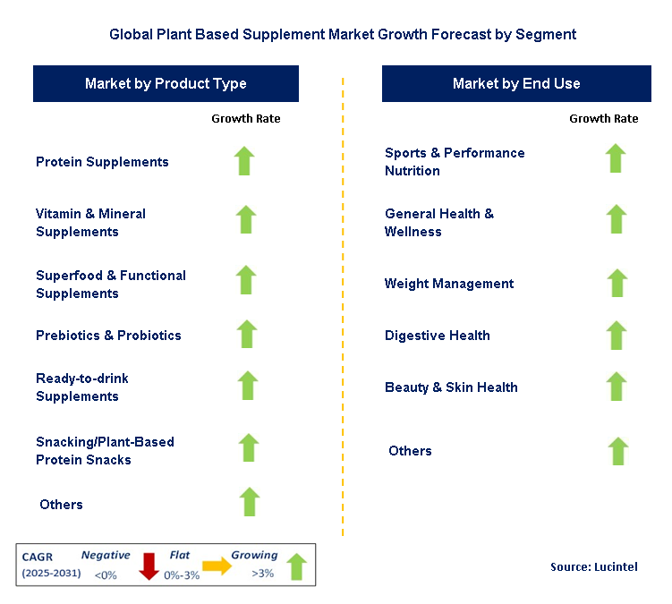 Plant Based Supplement Market by Segment