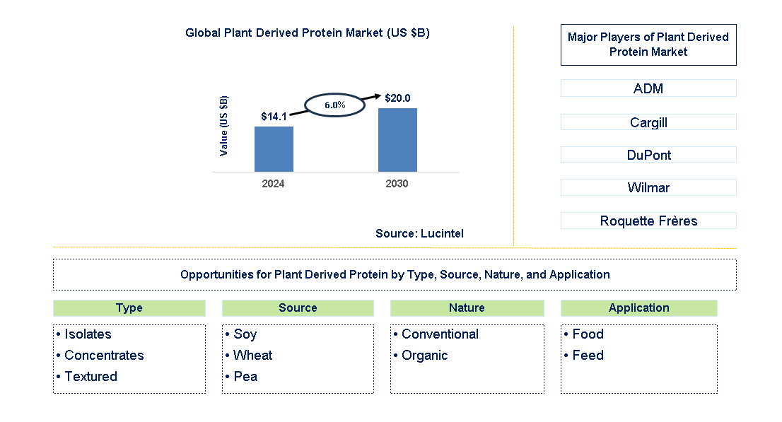 Plant Derived Protein Trends and Forecast