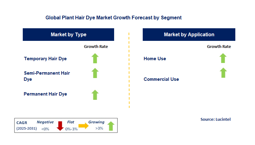 Plant Hair Dye Market by Segment