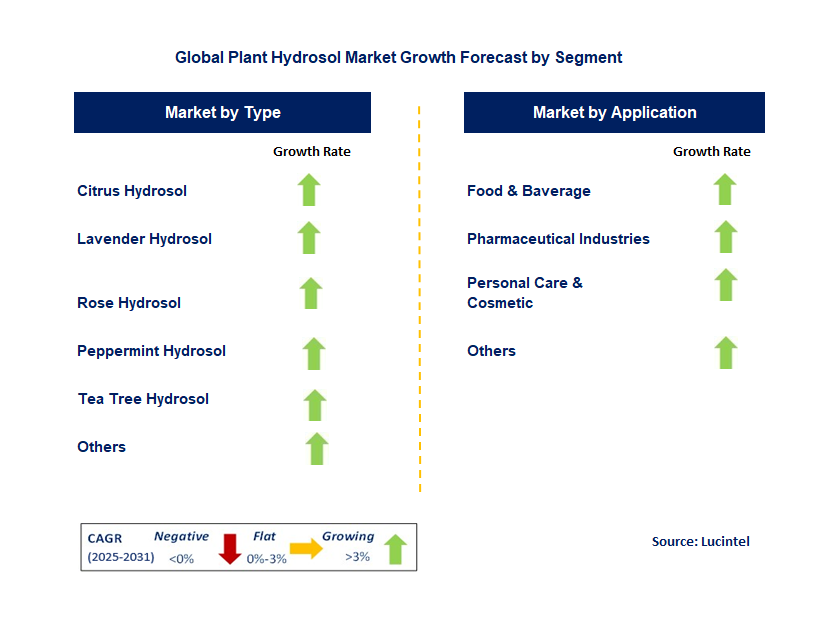 Plant Hydrosol Market by Segment