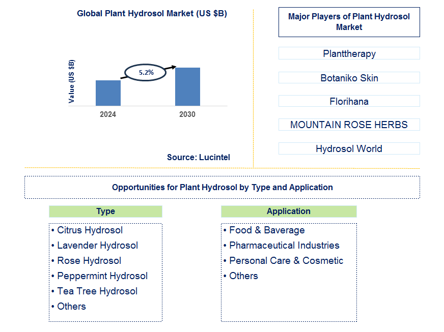 Plant Hydrosol Trends and Forecast