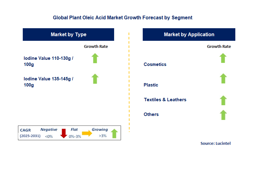 Plant Oleic Acid Market by Segment