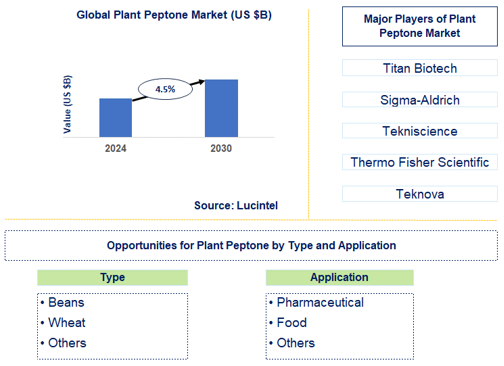 Plant Peptone Market Trends and Forecast