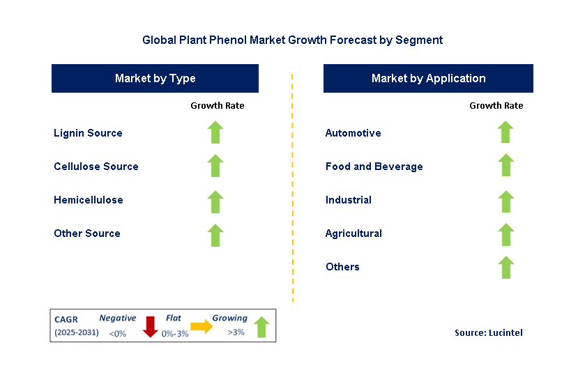 Plant Phenol Market by Segment