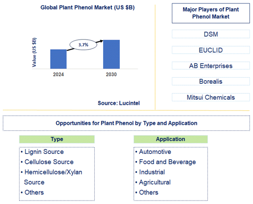 Plant Phenol Market Trends and Forecast