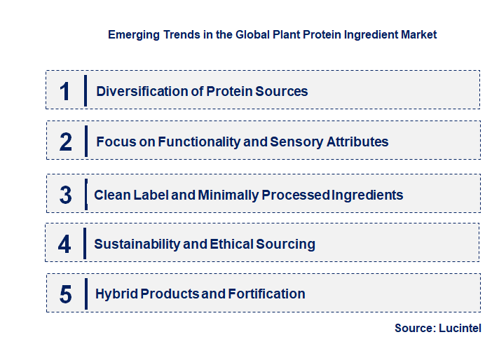 Emerging Trends in the Plant Protein Ingredient Market