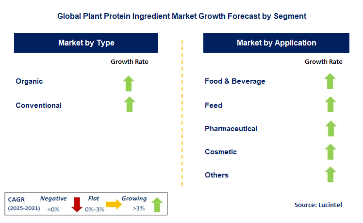 Plant Protein Ingredient Market by Segment