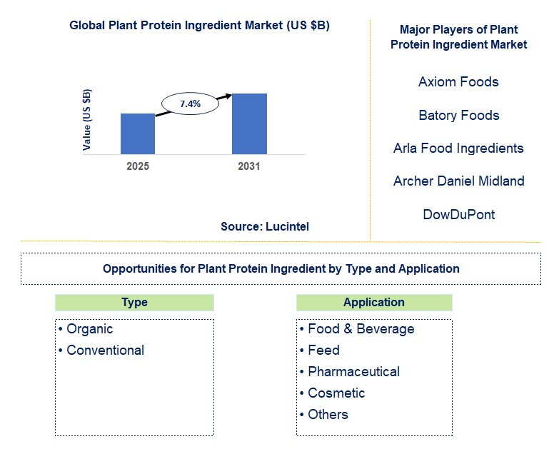 Plant Protein Ingredient Market Trends and Forecast