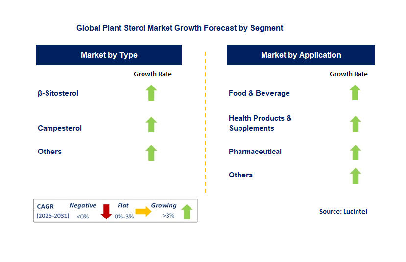 Plant Sterol Market by Segment