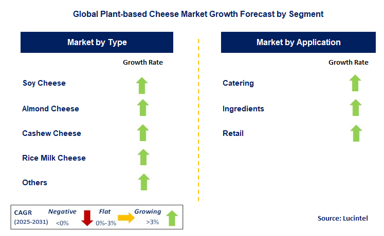 Plant-based Cheese Market by Segment